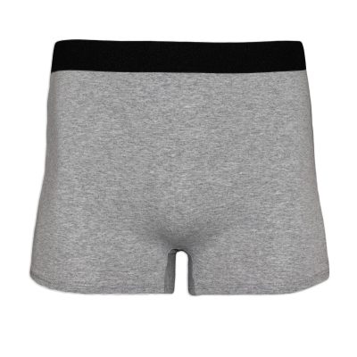 Brief Shorts Gray Front