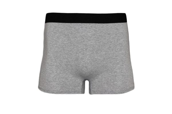 Brief Shorts Gray Front